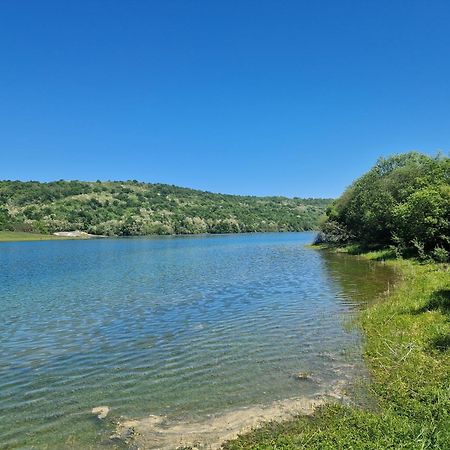 Mon Chalet En Ariege Avec Piscine Daumazan-sur-Arize المظهر الخارجي الصورة