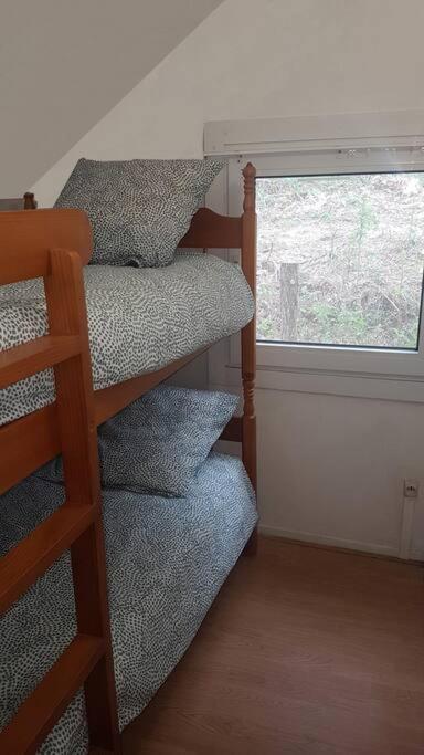Mon Chalet En Ariege Avec Piscine Daumazan-sur-Arize المظهر الخارجي الصورة