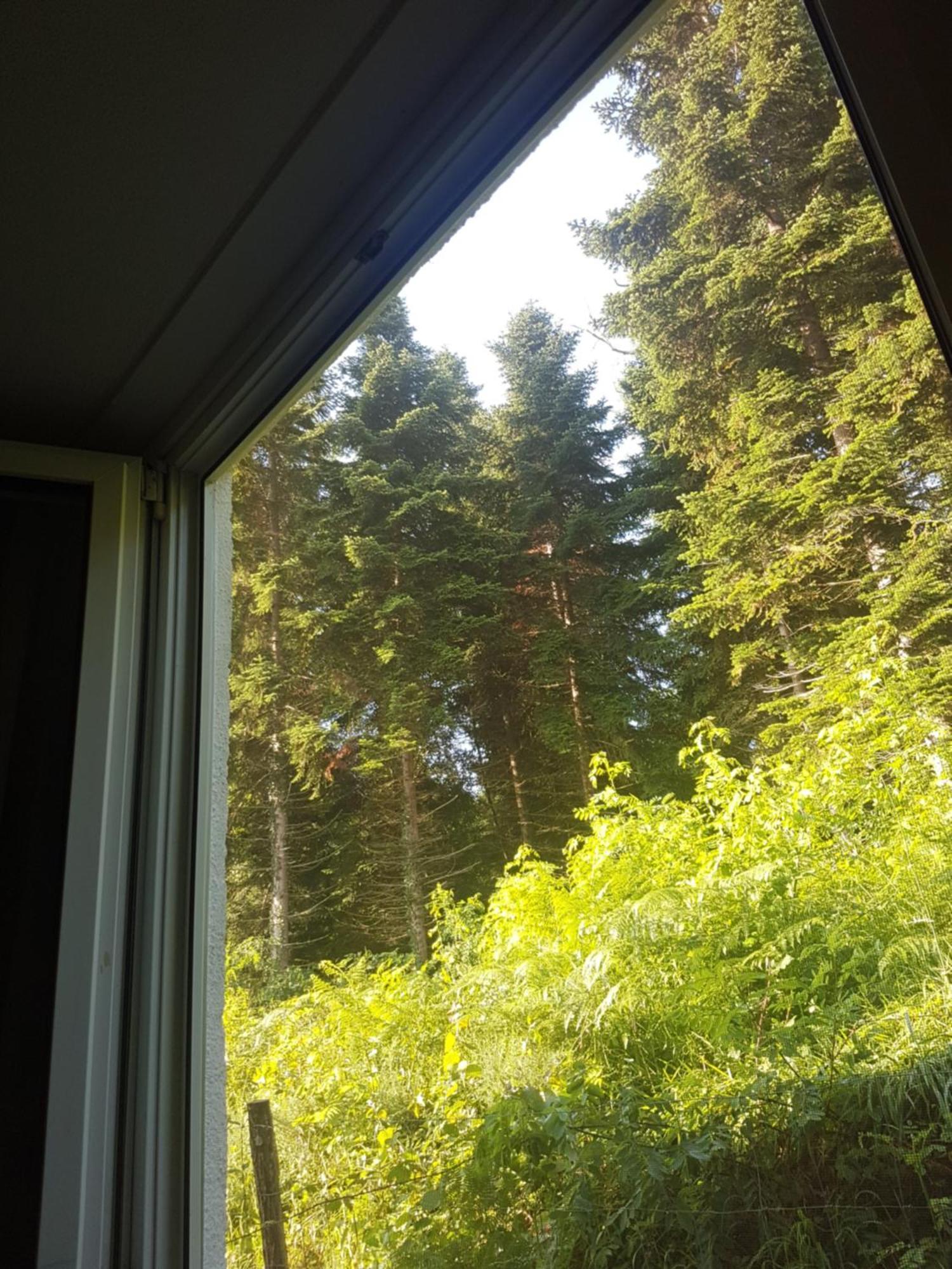 Mon Chalet En Ariege Avec Piscine Daumazan-sur-Arize المظهر الخارجي الصورة